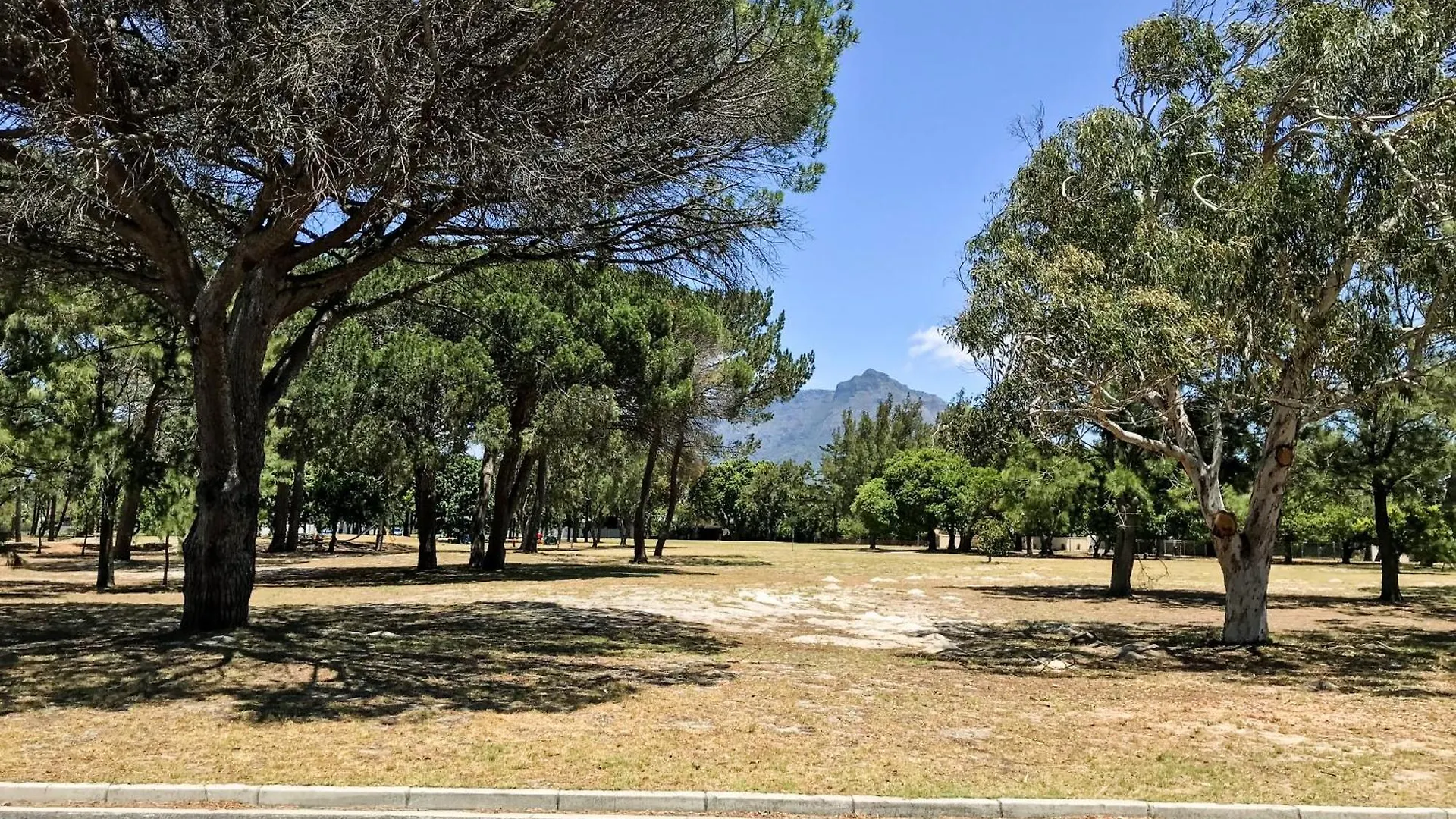 Oda ve Kahvaltı Howards End Manor B&B Cape Town