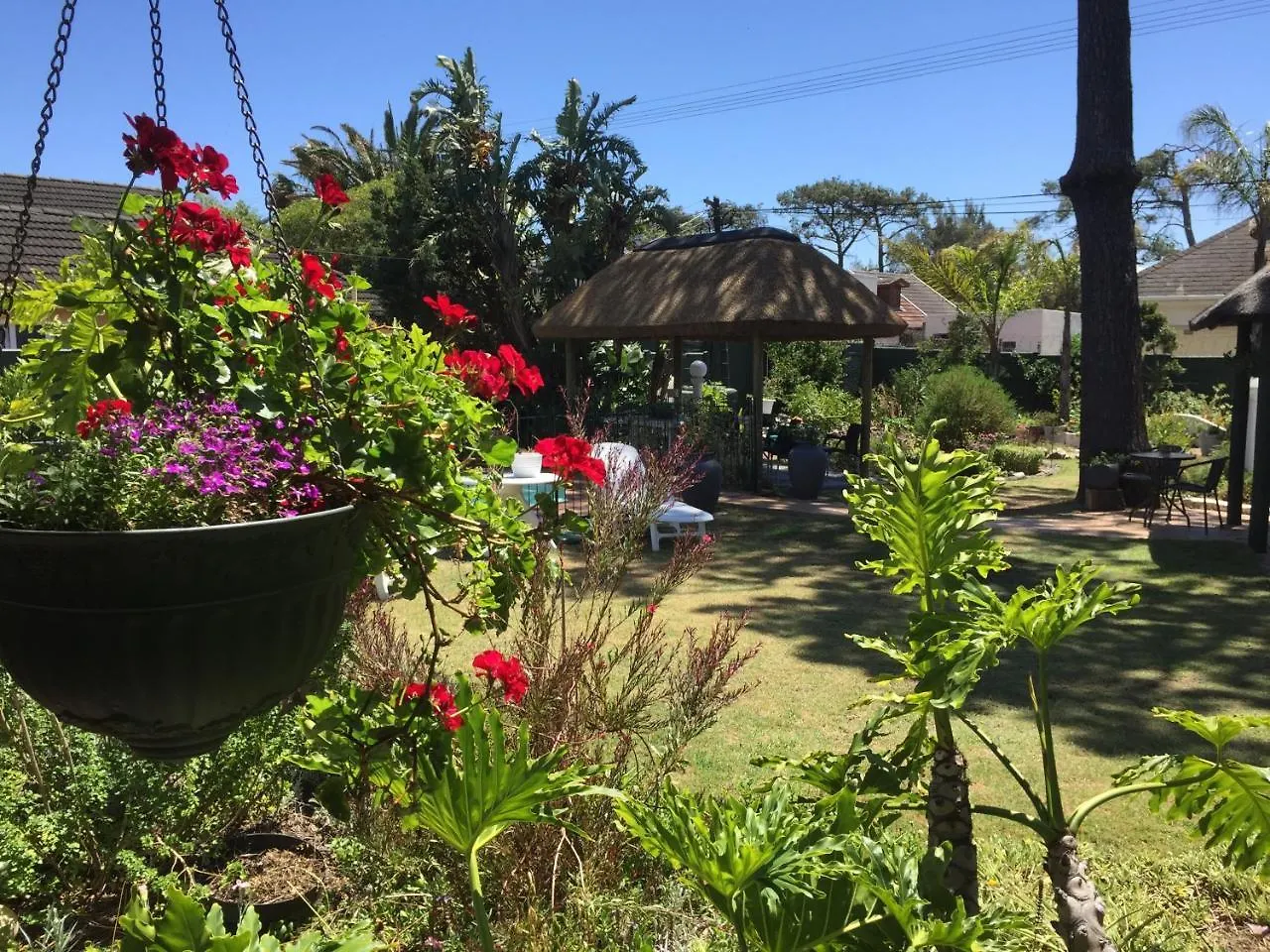 Howards End Manor B&B Cape Town Oda ve Kahvaltı